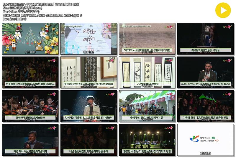 [2017 서구톡톡 73회] 제22회 서곶문화예술제 사진